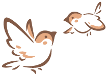 241227_sparrow